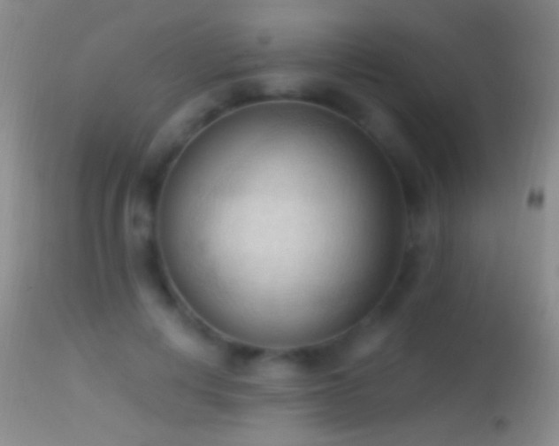 X0000114630648200910201421