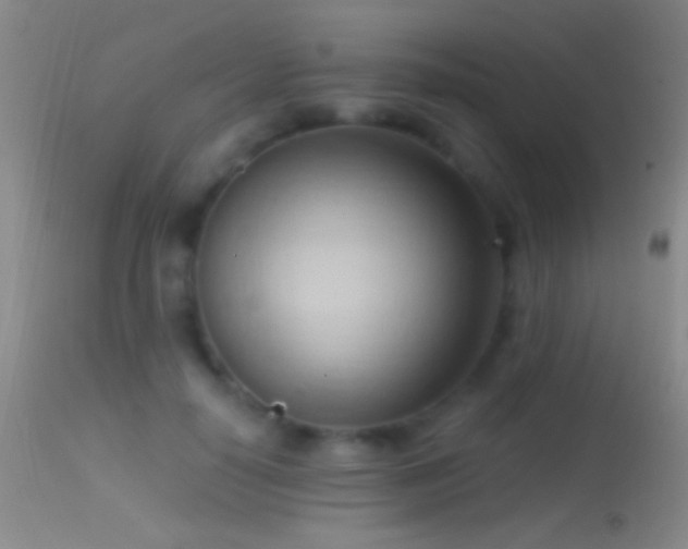 X0000114630650200910201421