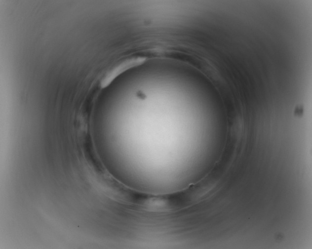 X0000114630651200910201421