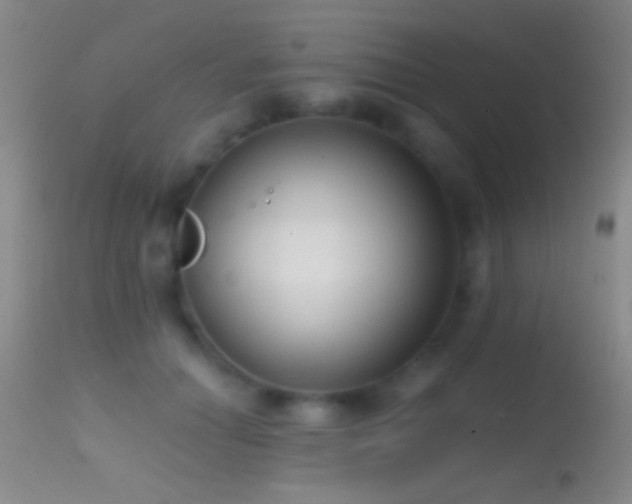 X0000114630654200910201421