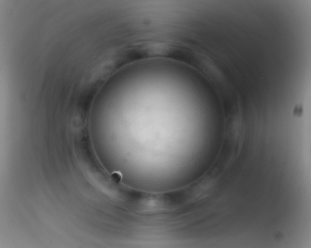 X0000114630655200910201421