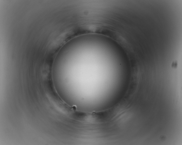 X0000114630656200910201421