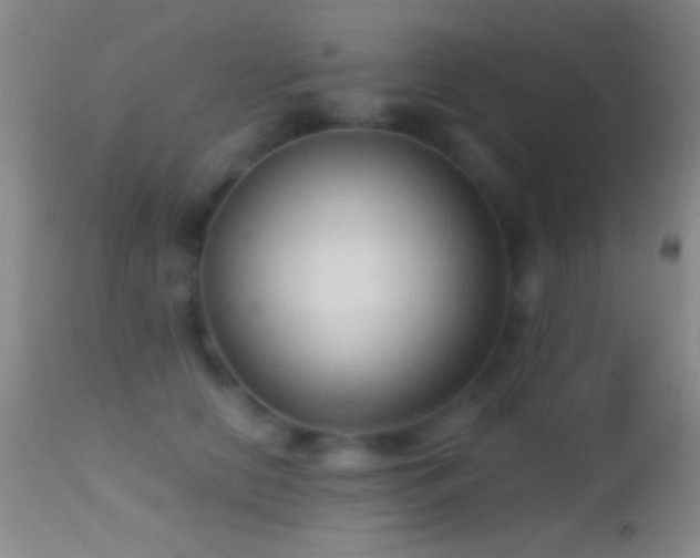 X0000114630658200910201421