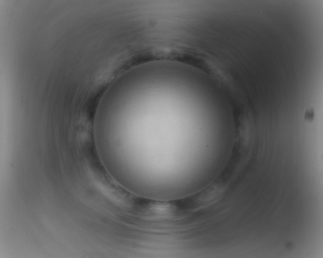 X0000114630659200910201421