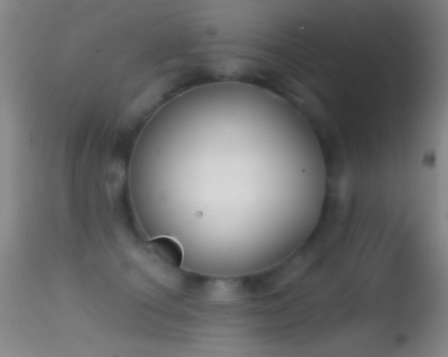 X0000114630660200910201421