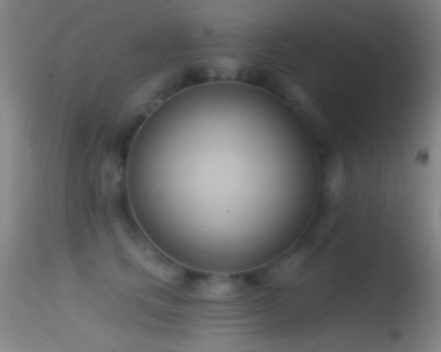 X0000114630661200910201421