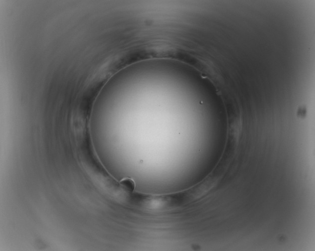 X0000114630662200910201421