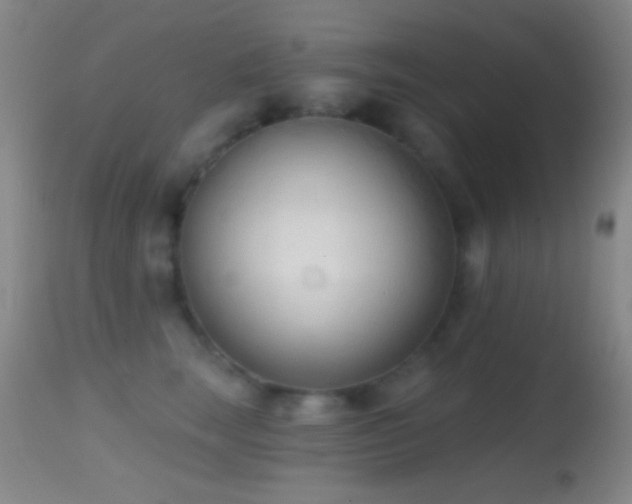 X0000114630663200910201421