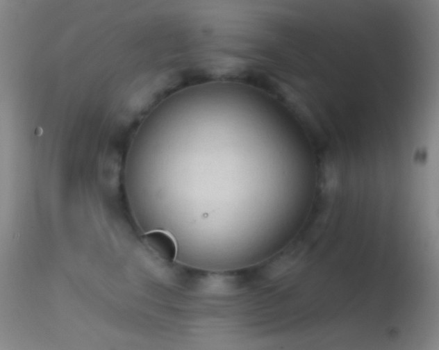 X0000114630664200910201421