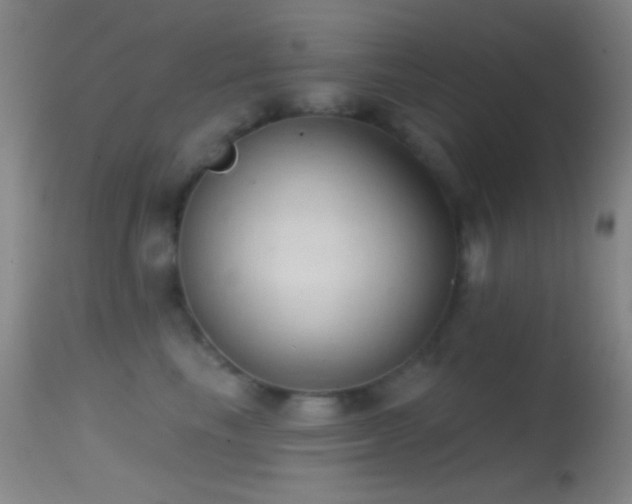 X0000114630665200910201421