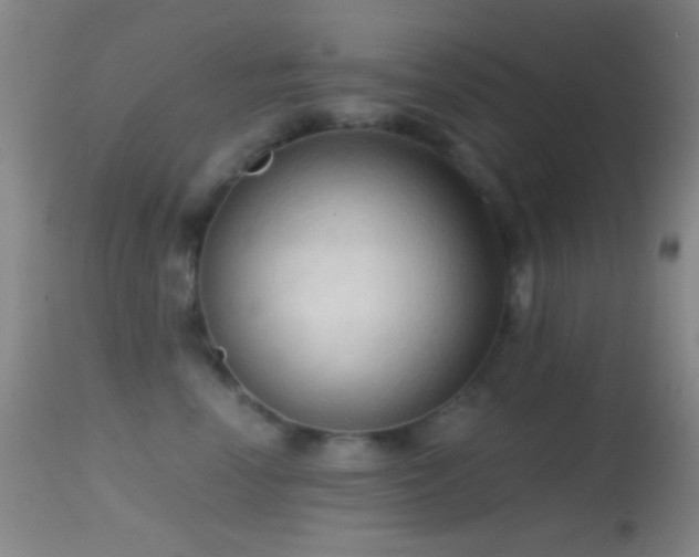 X0000114630666200910201421