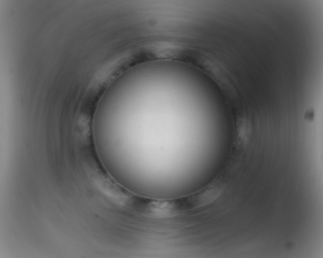 X0000114630667200910201421