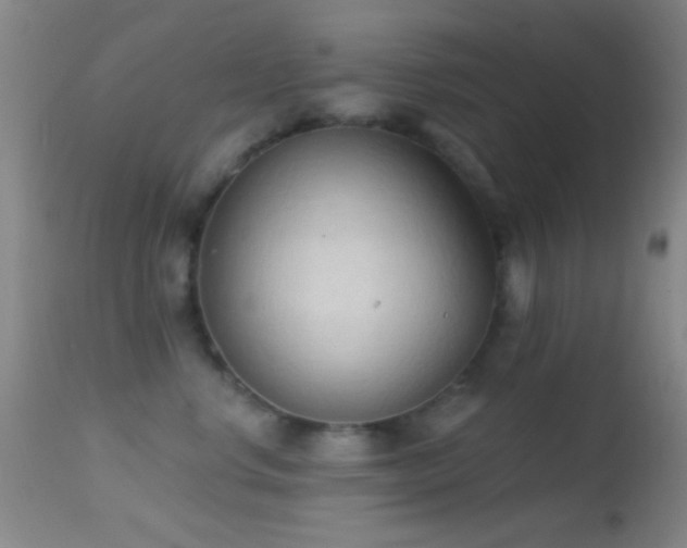 X0000114630668200910201421