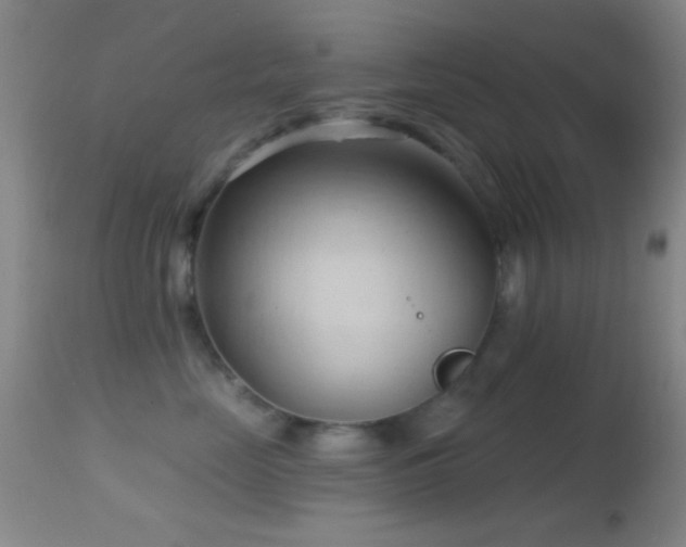 X0000114630669200910201421