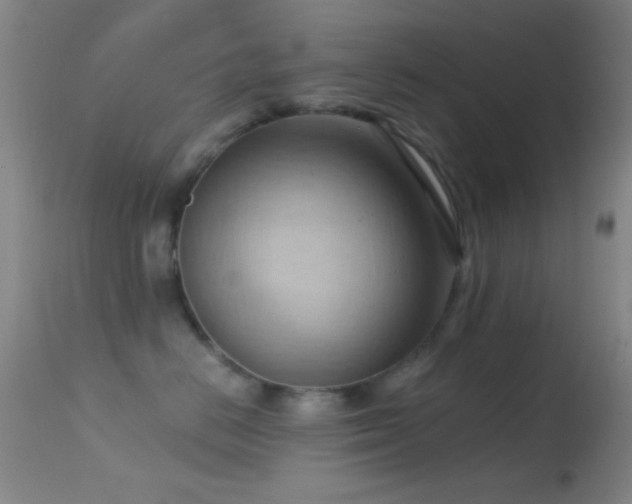 X0000114630670200910201421