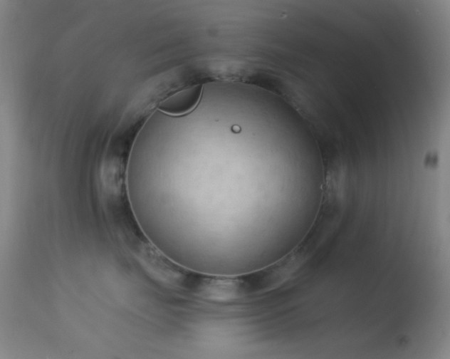 X0000114630671200910201421