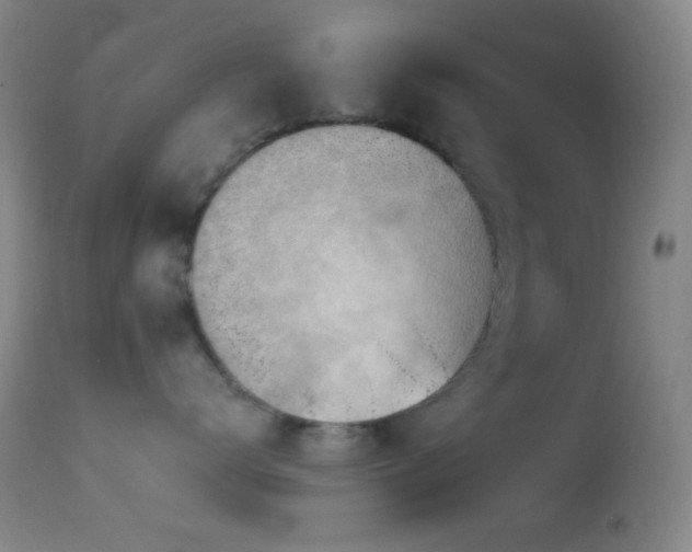 X0000114630672200910201421