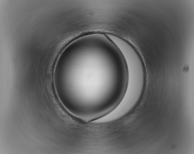 X0000114630673200910201420