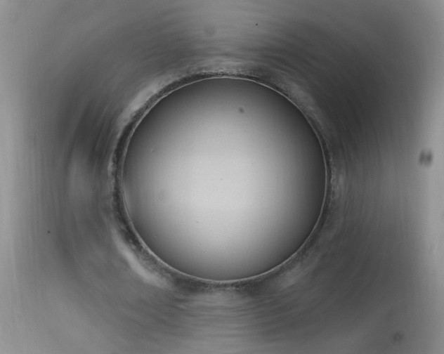 X0000114630674200910201420