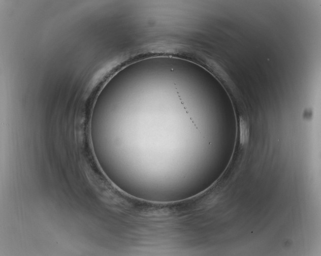 X0000114630675200910201420