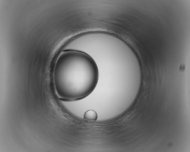 X0000114630676200910201420