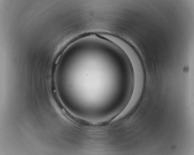 X0000114630677200910201420