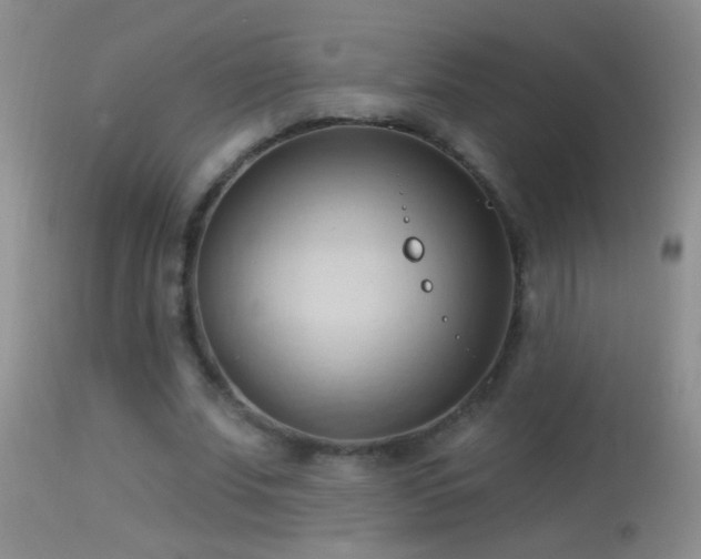 X0000114630679200910201420