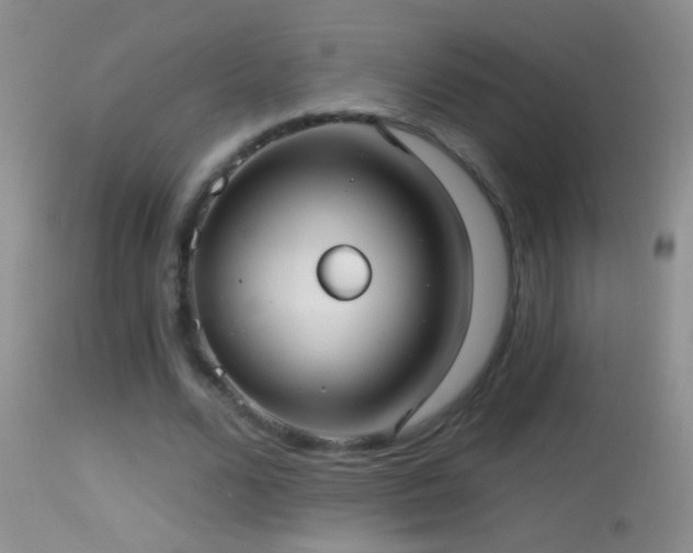 X0000114630680200910201420