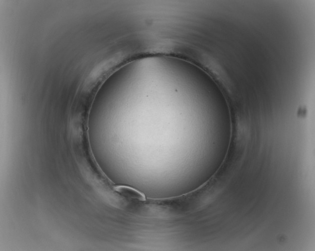 X0000114630681200910201420