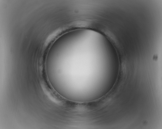 X0000114630682200910201420