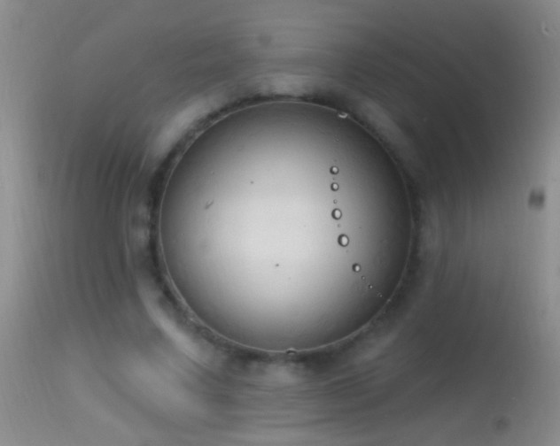 X0000114630683200910201420