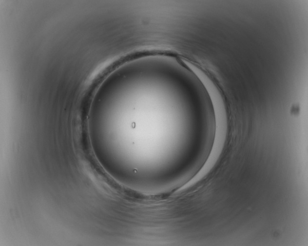 X0000114630684200910201420