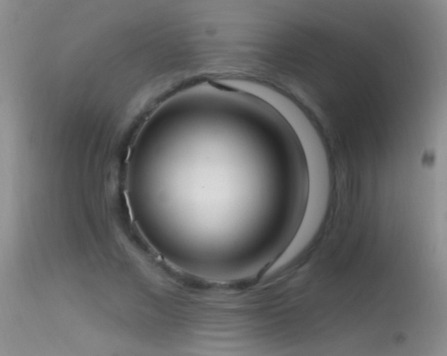 X0000114630685200910201420