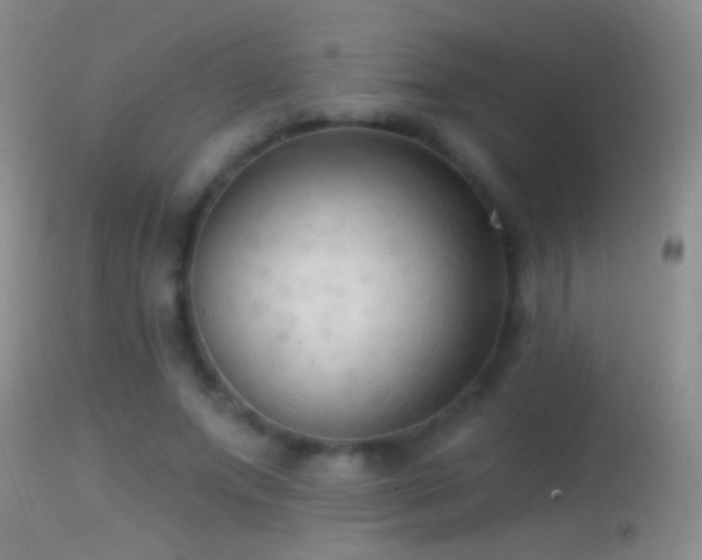 X0000114630687200910201420