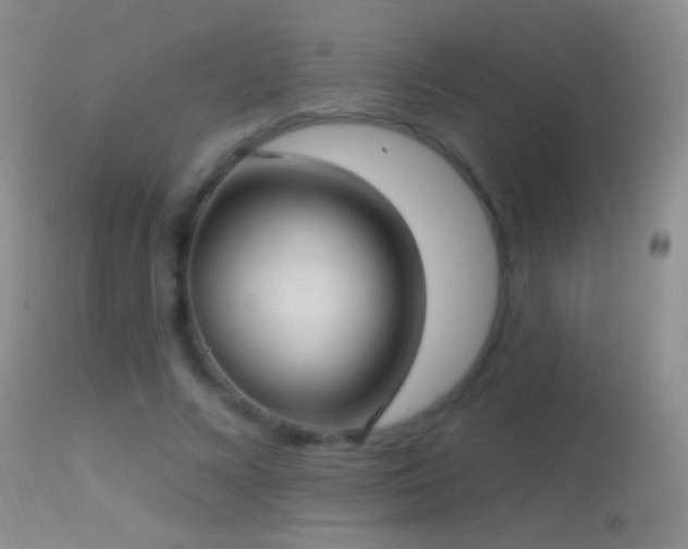 X0000114630688200910201420