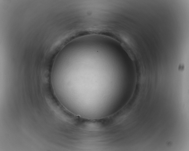 X0000114630689200910201420