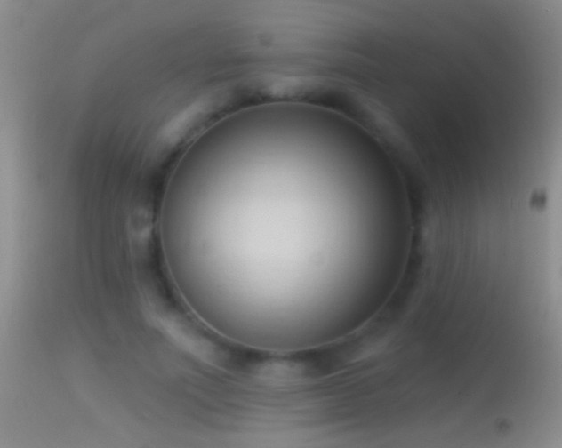 X0000114630691200910201420