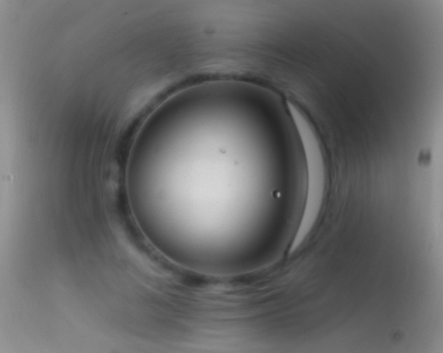 X0000114630692200910201420