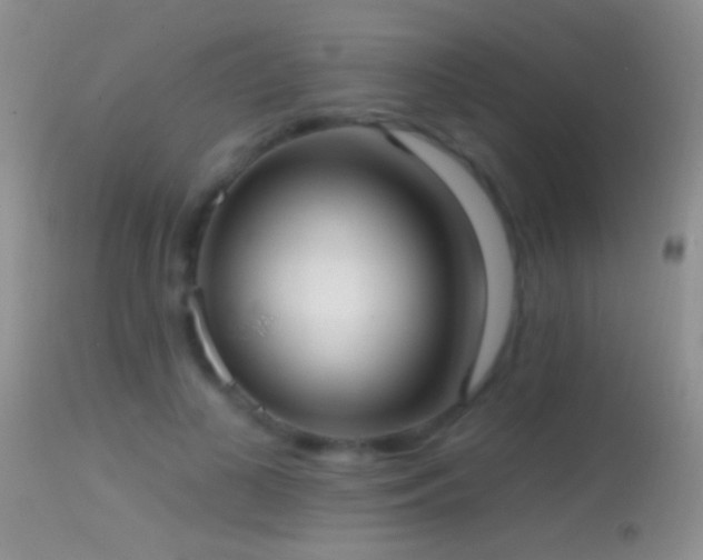 X0000114630693200910201420