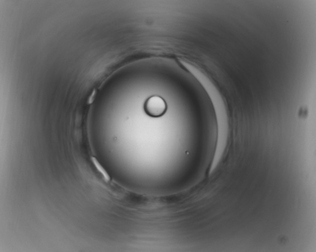 X0000114630696200910201420