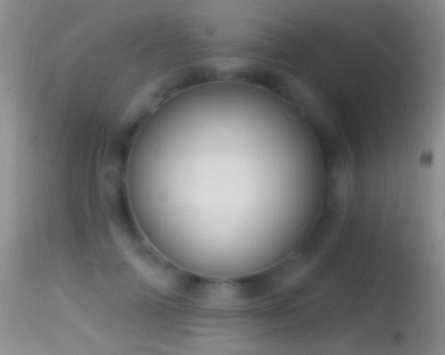 X0000114630698200910201420