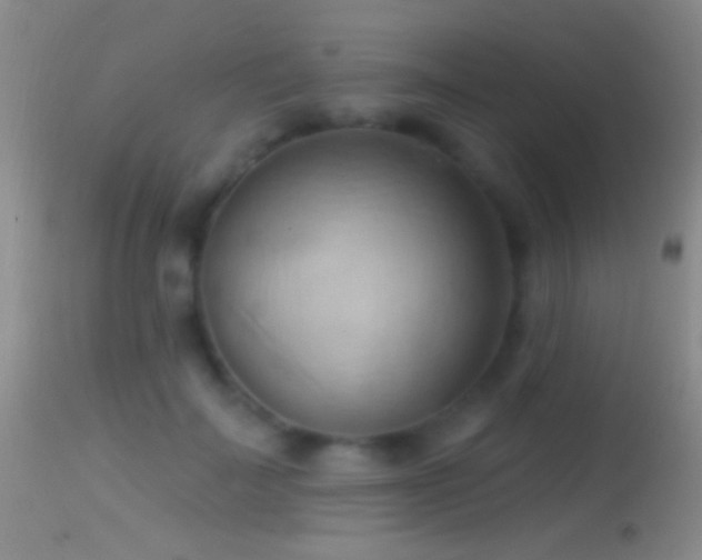 X0000114630699200910201420