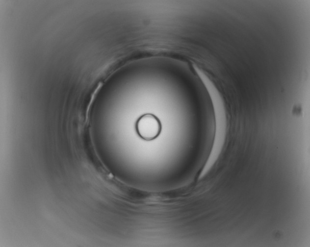 X0000114630700200910201420