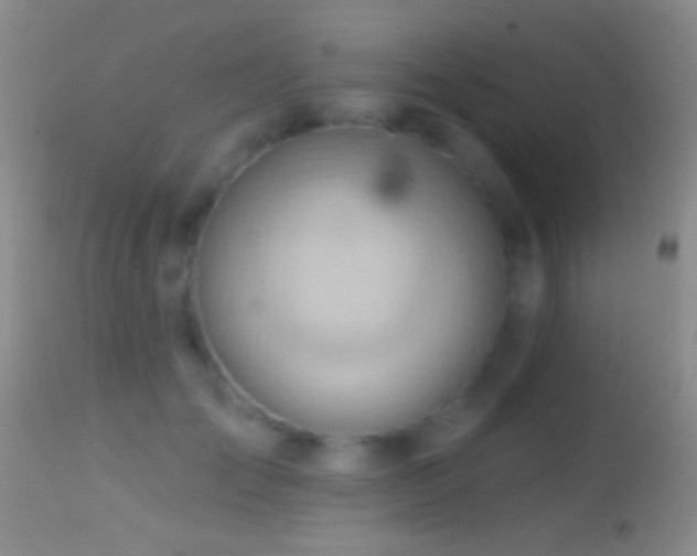 X0000114630701200910201420