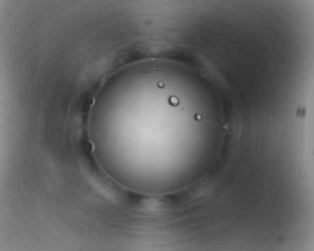 X0000114630703200910201420