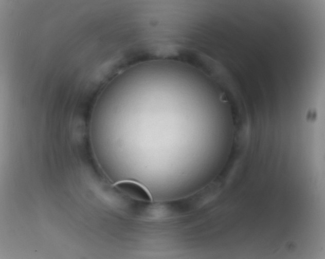 X0000114630704200910201420