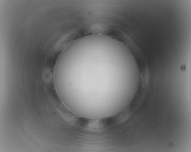 X0000114630705200910201420