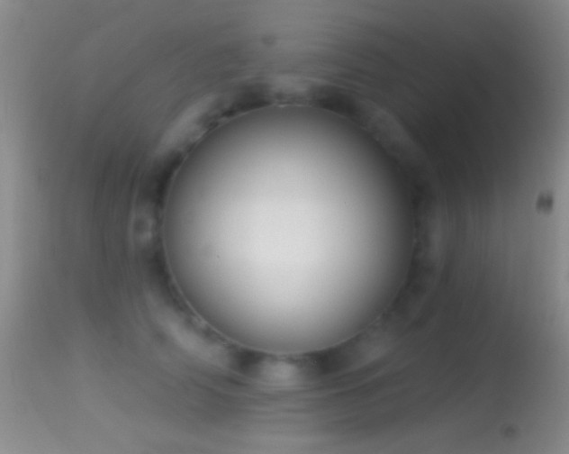 X0000114630706200910201420