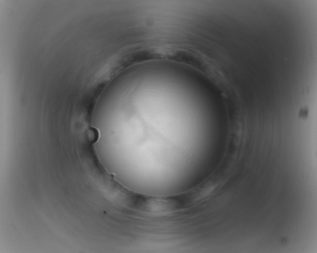 X0000114630707200910201420