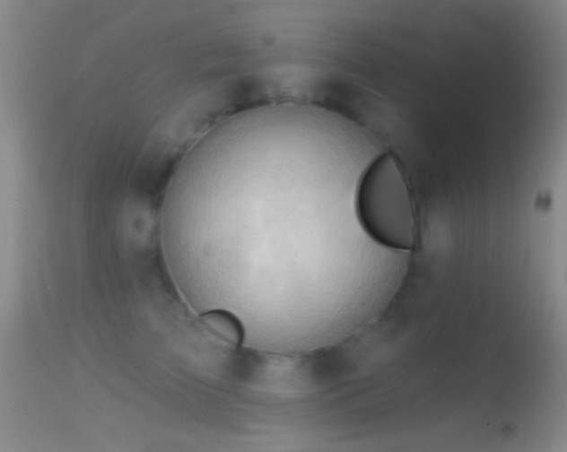 X0000114630709200910201420